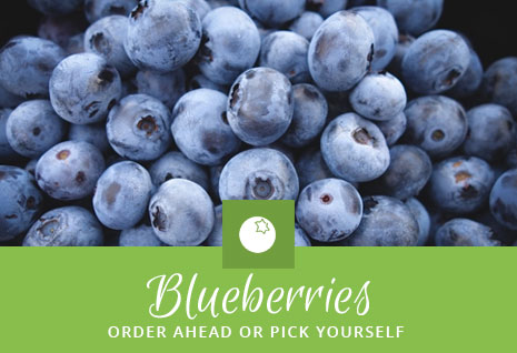 Blueberries